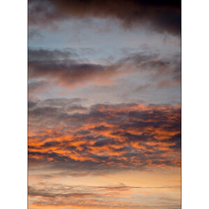 MorgenDSC_2984.jpg