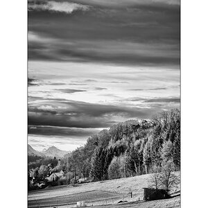 MorgenDSC_2987.jpg