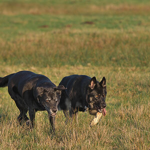 DSC_5337.jpg