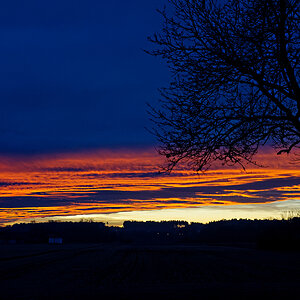 MMM_2124_DxO2.jpg