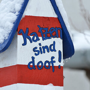 OF-29018.jpg
