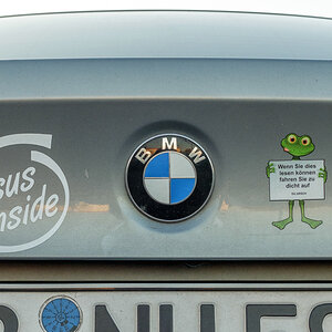 Frecher Frosch