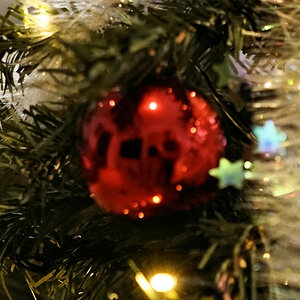 _Spuk am Weihnachtsbaum.jpg