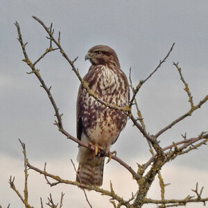 DSCN4255 02 Kopie.jpg