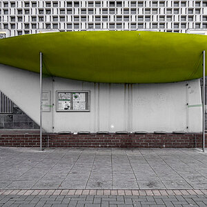 Grüne Bohne