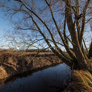 An der Aue.jpg