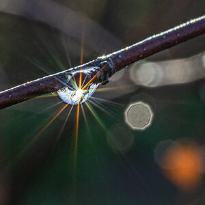 OF2_35365.jpg