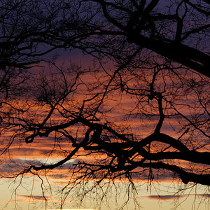 _DSC6945NF.jpg
