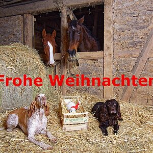 Krippenspiel