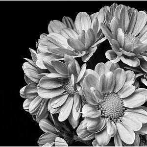 flowerstackbw.jpg