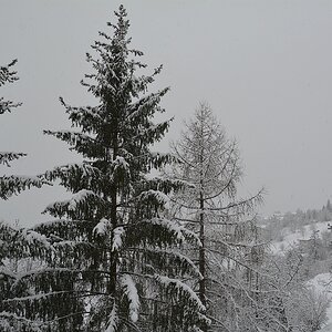 Weisse Weihnachten