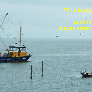 fischerhff wunschKopie.jpg