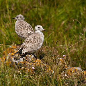 DSC_4052-Bearbeitet.jpg