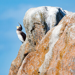 DSC_4212-Bearbeitet.jpg