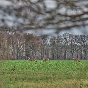 DSC_6124.jpg