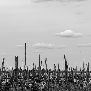 DSC_4710.jpg