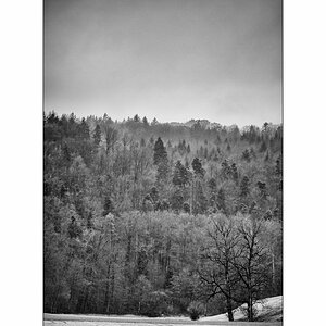 MorgenDSC_3004.jpg
