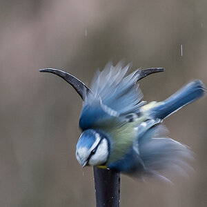 Abflug.jpg
