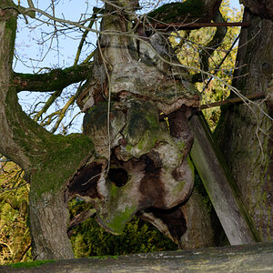 NZ6_4736_DxO.jpg