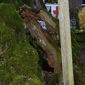 NZ6_4739_DxO.jpg