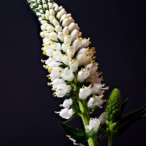 stack3final-900px.jpg