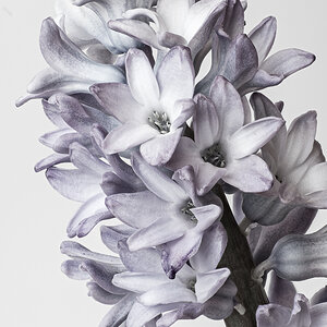 stack2final-900px-faded.jpg
