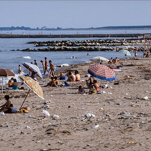 Rosolina052.jpg