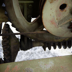 Z50_0392_DxO.jpg