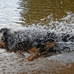 Marluk - Schneller als das Wasser.jpg