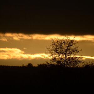 Abenddämmerung