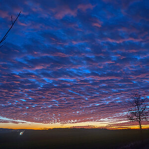 D8E_0749.jpg
