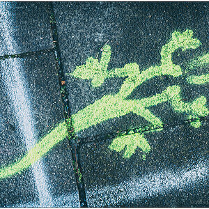 012 Gecko Street Art