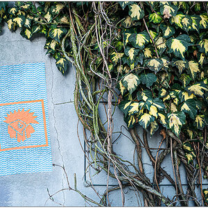014 Efeu Street Art