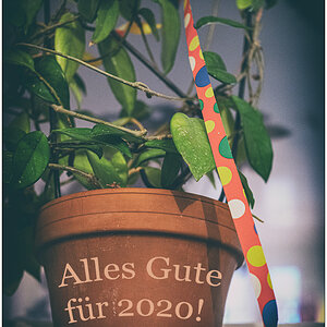 015 Silvester 2020 Alles_Gute