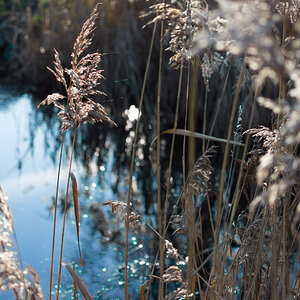 Test35mm-2m.jpg