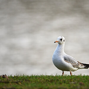 811_5207at3l10fks70p1.jpg