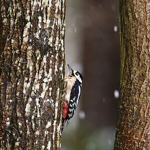 2019_26903.jpg