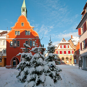 DSC_2110.jpg