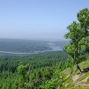 OF-57493.jpg