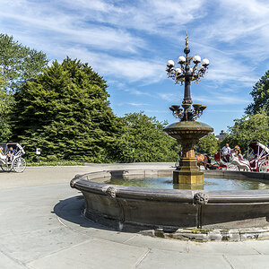 NYC Cherry Hill.jpg