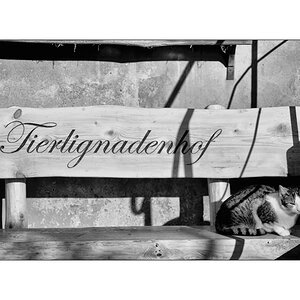 TierDSC_3076.jpg