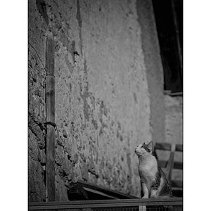 TierDSC_3079.jpg