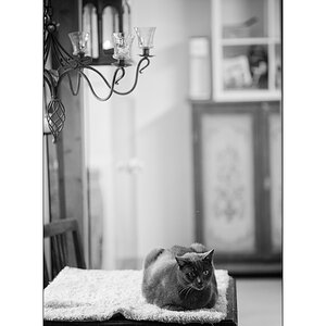 TierDSC_3091.jpg