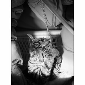 TierDSC_3102.jpg