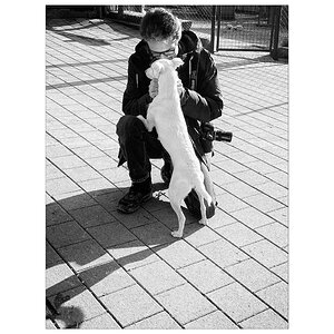 TierIMG_0165.jpg