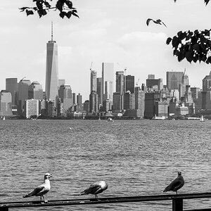 NYC Skyline.jpg