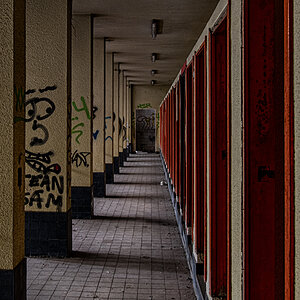 DSC_8128.jpg