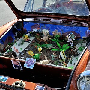 VW Typ 3 "Great Barrier Reef"