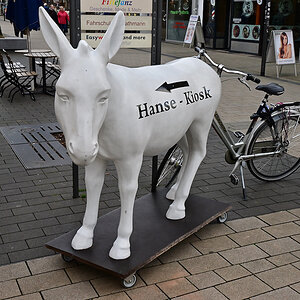 Z50_0578_DxO.jpg