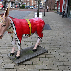 Z50_0587_DxO.jpg